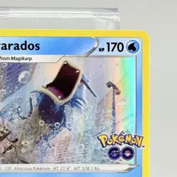 Gyarados Pokemon GO #022/078 Holo Rare 2022 Pokemon TCG Card NM - Image 3