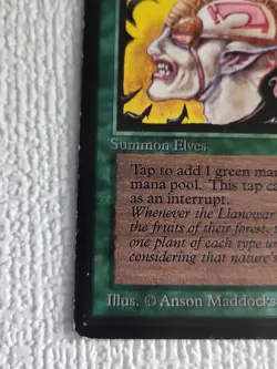 Llanowar Elves Beta LP Lightly Played MTG - Image 2