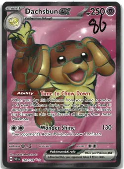 Dachsbun ex 160/142 Stellar Crown Ultra Rare NM - Image 1