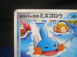【HP④】2005 Pokemon TCG Japanese Pokepark's Grand Opening Mudkip #Promo 048/PCG-P - Image 3