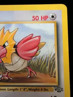 Pokemon TCG Spearow Jungle #62/64 WOTC Vintage 1999 1st Edition - Image 3