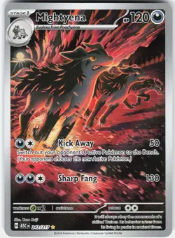Pokemon Mightyena 243/217 Illustration Rare Ascended Heroes Pokemon Near Mint - Image 1