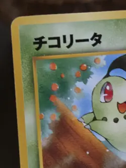 Pokemon 2001 Japanese Chikorita Neo Intro Pack Totodile Deck - MP+ - Image 3