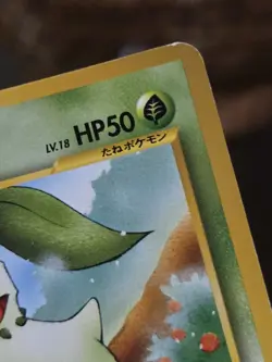 Pokemon 2001 Japanese Chikorita Neo Intro Pack Totodile Deck - MP+ - Image 4