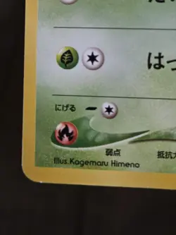 Pokemon 2001 Japanese Chikorita Neo Intro Pack Totodile Deck - MP+ - Image 5
