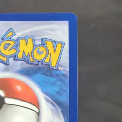 Chimchar 041 Mega Evolution Promo Holo Promo 60 HP EN 2026 Basic - Image 4