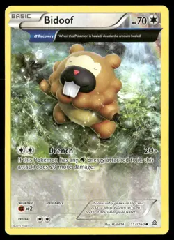 Bidoof 117/160 Uncommon Primal Clash Pokemon Near Mint - Image 1