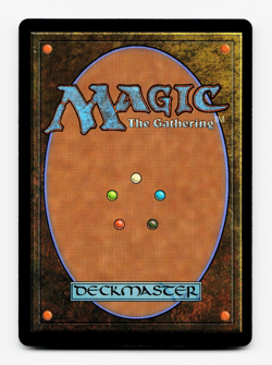 Map the Frontier [Outlaws of Thunder Junction] MTG Magic NM/M 🌳 - Image 2