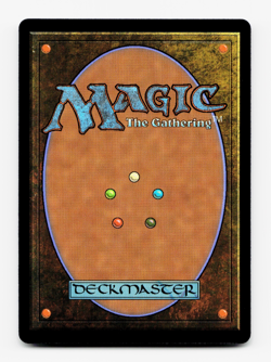 Map the Frontier [Outlaws of Thunder Junction] MTG Magic NM/M 🌳 - Image 4