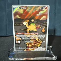 Numel 223/217 : Ascended Heroes Holo Illustration Rare Pokemon - Image 1