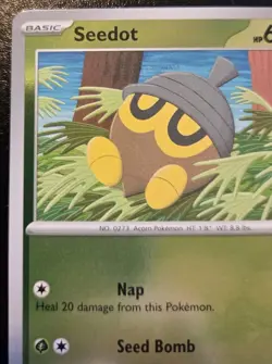 Seedot 013/132 Reverse Holo Common Mega Evolution Pokemon TCG - Image 2