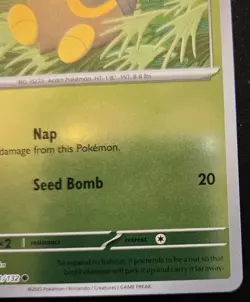 Seedot 013/132 Reverse Holo Common Mega Evolution Pokemon TCG - Image 5