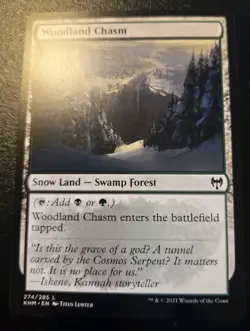 Woodland Chasm 274/285 Land Kaldheim Magic: The Gathering - Image 1