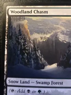Woodland Chasm 274/285 Land Kaldheim Magic: The Gathering - Image 2