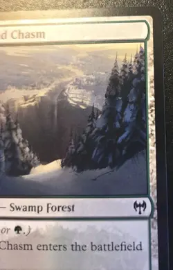 Woodland Chasm 274/285 Land Kaldheim Magic: The Gathering - Image 3