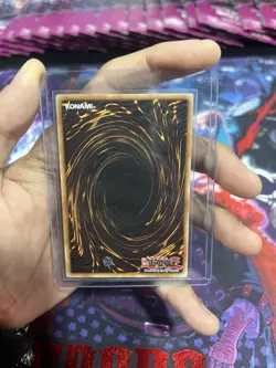 Yu-Gi-Oh Egyptian God PGLD 1st Edition Card Set NM Slifer, Obelisk, Ra - Image 3