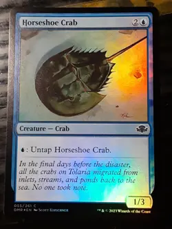 Horseshoe Crab FOIL , Dominaria Remastered , NM , MTG, FREE SHIPPING - Image 1