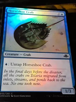 Horseshoe Crab FOIL , Dominaria Remastered , NM , MTG, FREE SHIPPING - Image 2