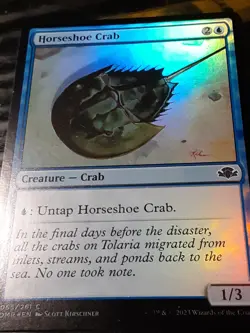 Horseshoe Crab FOIL , Dominaria Remastered , NM , MTG, FREE SHIPPING - Image 3