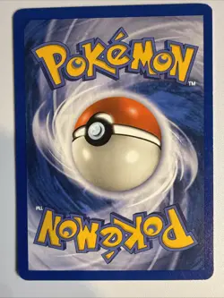 Swinub 107/144 Pokemon Skyridge 2003 (E-Reader) Yuka Morii LP+ - Image 2