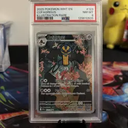 PSA 8 Cofagrigus 123/086 Illustration Rare White Flare Pokemon Card 2025 - Image 3