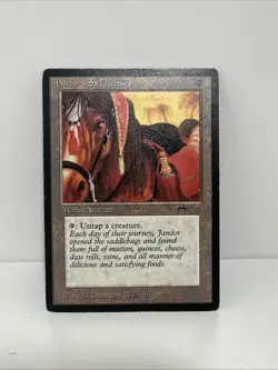 Jandor's Saddlebags Arabian Nights Regular - Image 1