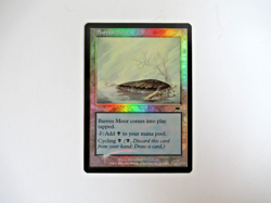 Magic The Gathering MTG - Onslaught ONS 2002 - #312 Barren Moor FOIL x1 - Image 4