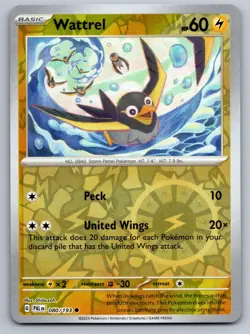 Wattrel 080/193 Common Paldea Evolved Pokemon Reverse Holo Near Mint - Image 1