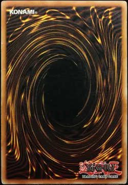 Yu-Gi-Oh! Dark Magician BPT-007 Secret Rare [PL] Tin Promo American | EN 2003 - Image 2
