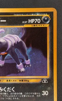Houndoom LV.37 No.229 Pokemon TCG Nintendo Trading Card Game Japanese - Image 3