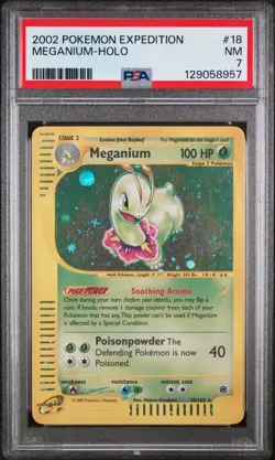 PSA 7 2002 Pokemon Expedition #18 Meganium Holo Potential PSA 8 - Image 1