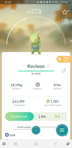 🦎Shiny (Schillernd) Kecleon Pokemon GO🦎 Mini PTC 80k - Image 1