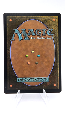 Archivist of Oghma (Rainbow Foil) Secret Lair Drop Foil - Image 2