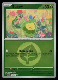Budew (Energy Symbol Pattern) 016/217 Common Ascended Heroes Pokemon Near Mint - Image 1
