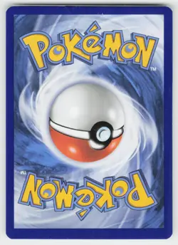 Fennekin 080 Holo Promo ME: Mega Evolution Promo Pokemon Near Mint - Image 2