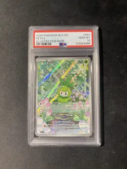 2025 POKEMON BLK EN-BLACK BOLT ILLUSTRATION RARE #091 PETILIL PSA 10 IR POP 100 - Image 1