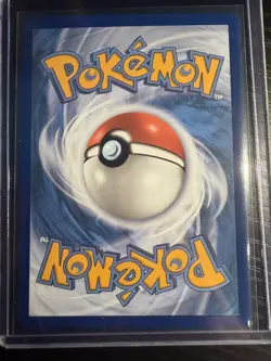 Pokemon Cinccino ex 119/086 Mega Evolution Chaos Rising SIR 🤩 PACK FRESH NM 🤩 - Image 2