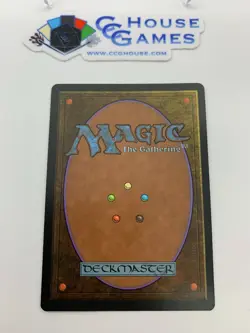 Magic the Gathering - Visions Rule Card Chinese Vintage Rare *CCGHouse* - Image 3