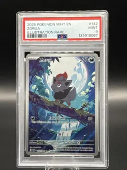 Pokemon TCG - Zorua - 142/086 - White Flare - Illustration Rare - PSA 9 - Image 1