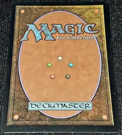 Misty Rainforest - Zendikar - MTG (LP) Magic The Gathering - Image 2