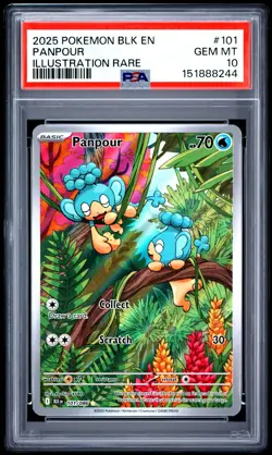 2025 Pokemon BLK EN-Black Bolt Panpour #101 Illustration Rare PSA 10 - Image 1