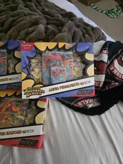 Pokemon TCG Ascended Heroes Mega ex Box Lot 5 Kits Meganium Feraligatr Emboar - Image 4