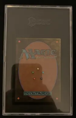 Arwen, Mortal Queen Borderless Poster SGC 10 Graded Lord of the Rings MTG - Image 2