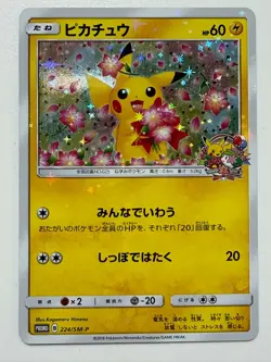 Pokemon TCG Pikachu 224/SM-P Promo Pokemon Center 20th Anniversary Japanes F/S - Image 1