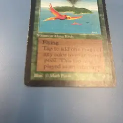 MAGIC THE GATHERING MTG RARE BIRDS OF PARADISE BETA - Image 5