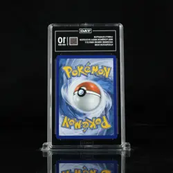 Pokemon Larry's Staraptor Ascended Heroes 249/217 Illus Rare Holo TAG 10 ENG - Image 2