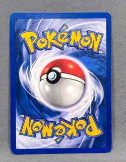 LP- Dark Gyarados (Prerelease) 08/82 Holo WoTC Promo Pokemon Kagemaru Himeno - Image 2