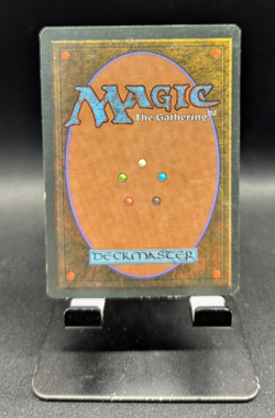 Aysen Crusader - Homelands - Magic: The Gathering MTG LP - MISCUT ERROR - Image 2