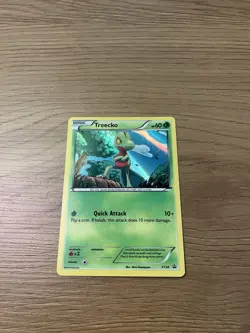 Pokemon XY | Promos | XY36 | Treecko | LP / MP - Image 1