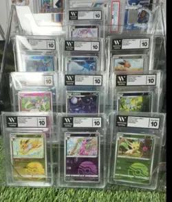 Graded Holo 151 Japanese Pokemon Cards: 10-Card Lot Eevee Sylveon Umbreon + more - Image 1